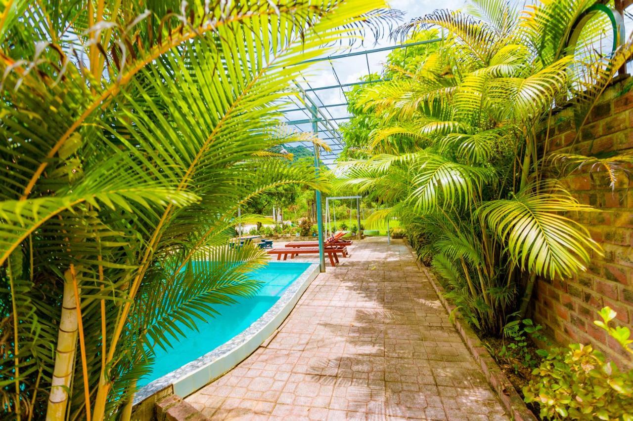 Phong Nha Amanda 2 Homestay Екстер'єр фото